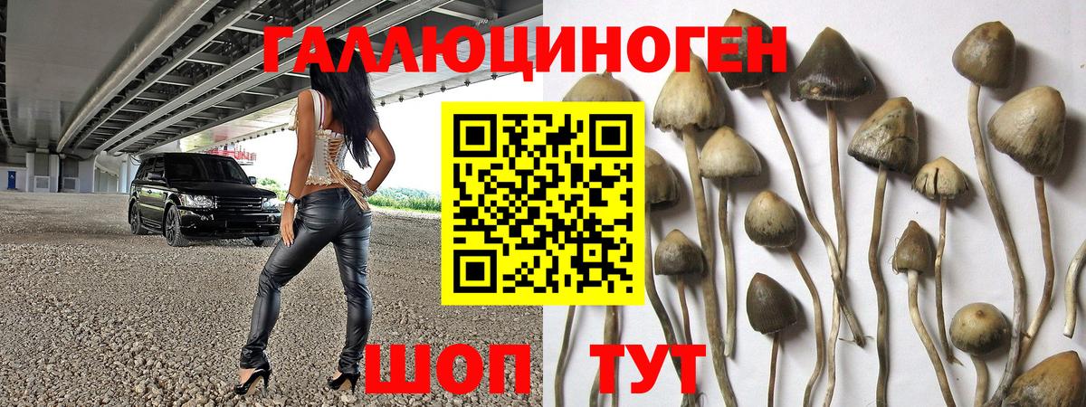 Псилоцибиновые грибы GOLDEN TEACHER Усть-Илимск