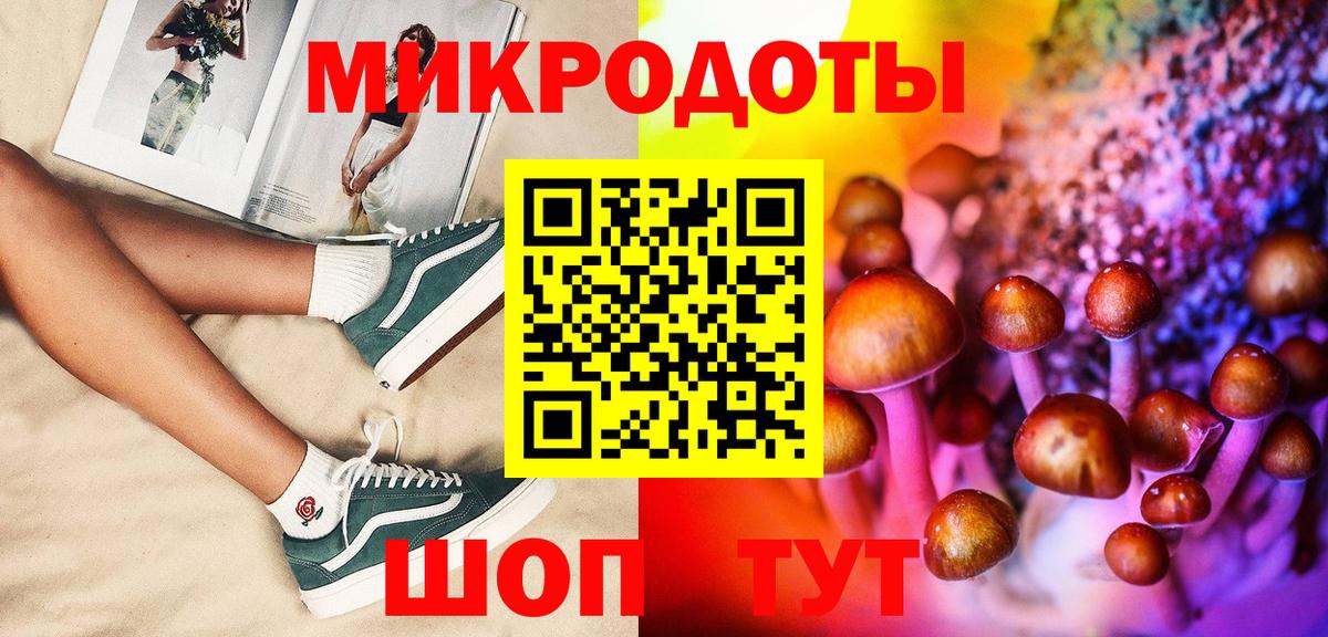 Псилоцибиновые грибы Psilocybe  Псилоцибиновые грибы прущие грибы  Усть-Илимск  Вход с VPN 