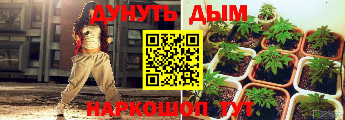 Марихуана сатива  Бошки Шишки LSD WEED  Усть-Илимск  Вход с VPN  Шишки марихуана семена 